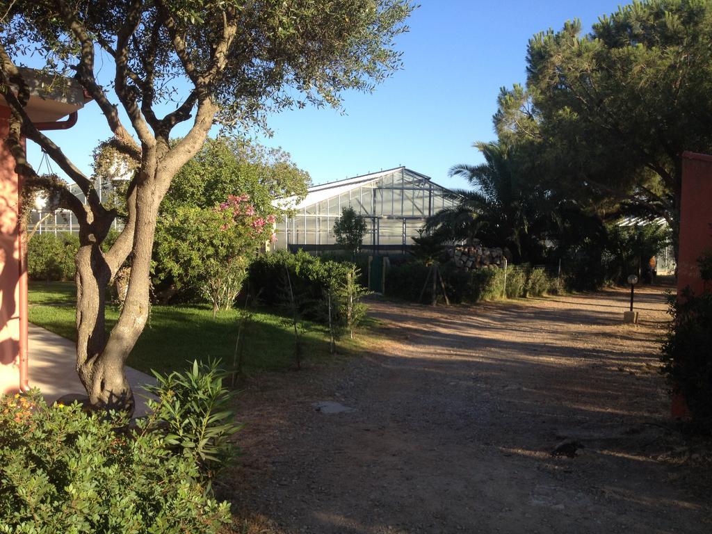 La Contea SantʼAnna Arresi Quarto foto