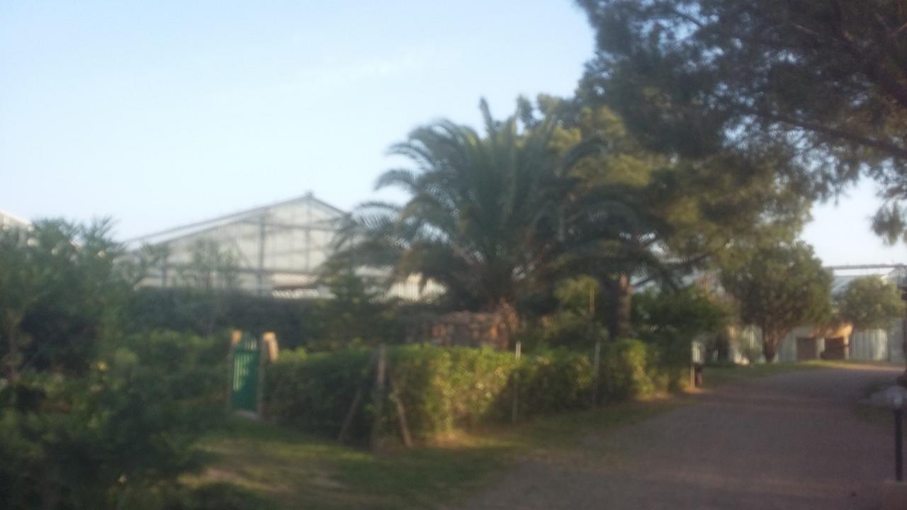 La Contea SantʼAnna Arresi Exterior foto